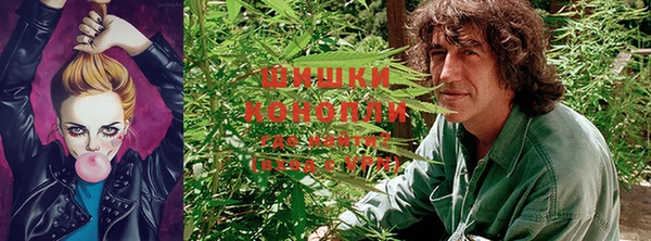 спиды Пролетарск