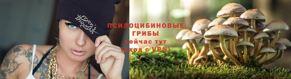 амф Протвино
