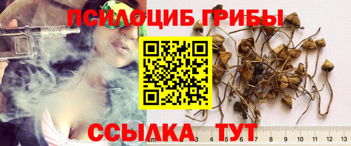 цена   Вход с VPN  Асбест  Псилоцибиновые грибы мухоморы 