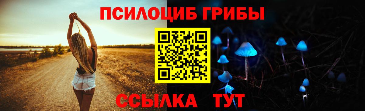 Псилоцибиновые грибы GOLDEN TEACHER Асбест